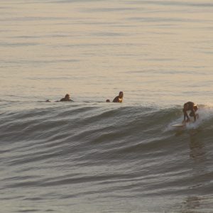 GROUP SURF LESSON