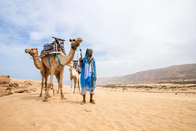 Camel Ride in Tamraght Agadir