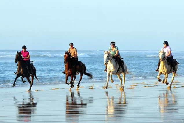 Horseback riding in Tamraght